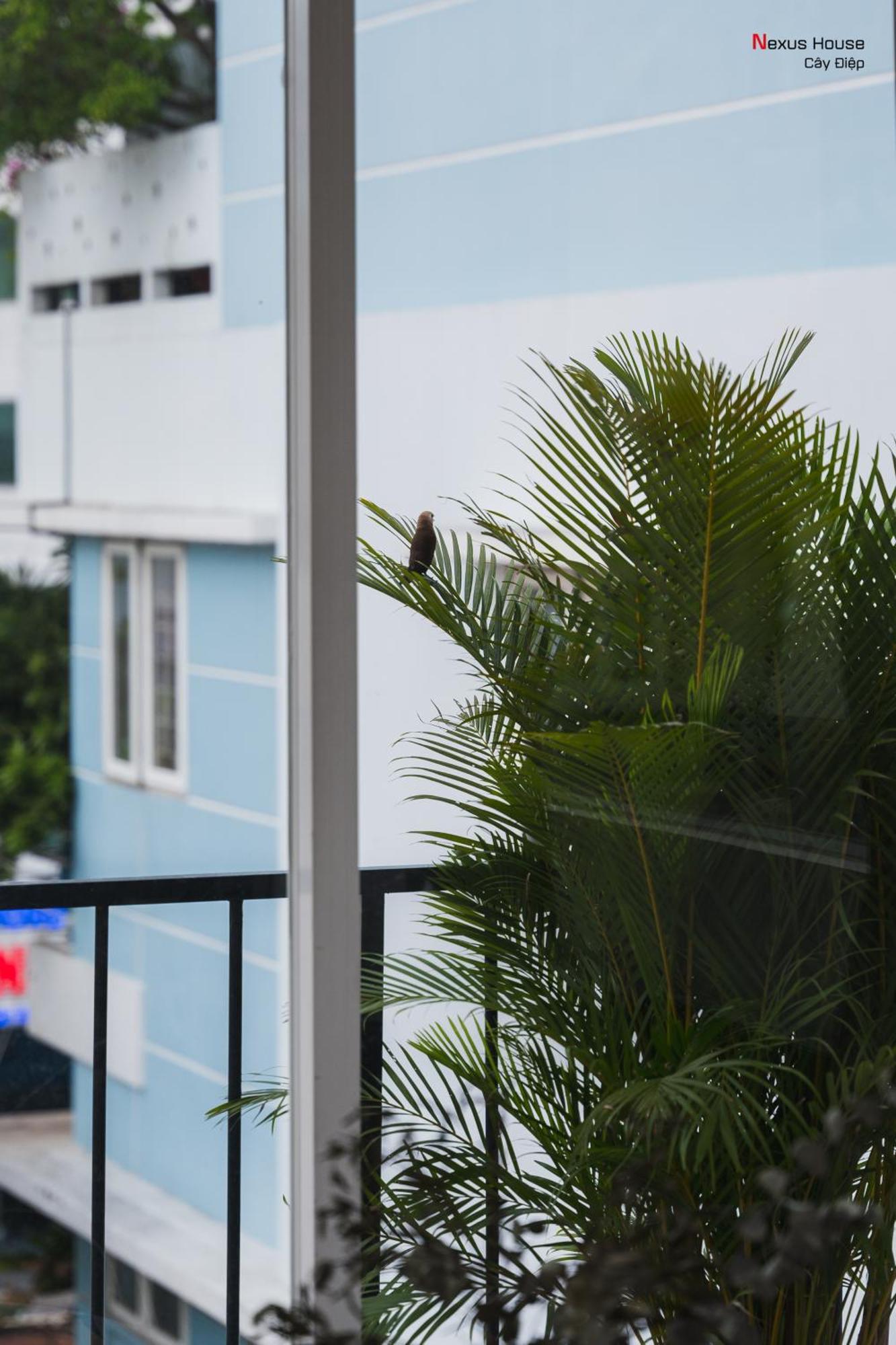 Nexus House Cay Diep Căn hộ *